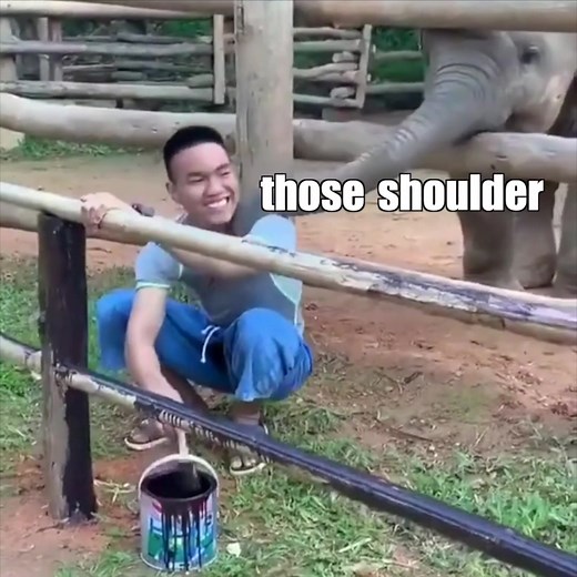 Elephant Party Planning with Louis and Jerry