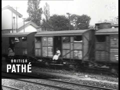 Troops Move By Train (1914-1918)