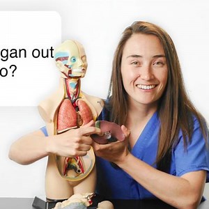 34K views · 50 reactions | How come it doesn't seem like people bleed that much during surgery? Why do they cut off your clothing in the ER? Can an electric eel act like a defibrillator? Trauma surgeon Annie Onishi answers the internet's burning questions about surgery. | WIRED | Facebook