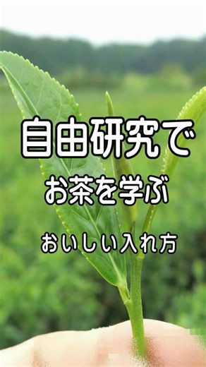 自由研究2026
