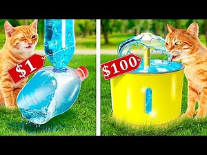 Amazing Gadgets and Hacks for Cats and Dogs! Rich vs Broke