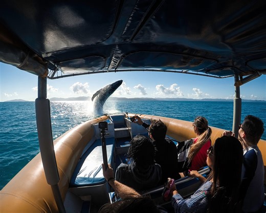 Cómo usar tu GoPro como la cámara para embarcaciones definitiva