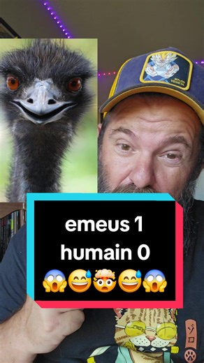 Guerre Inter-espèces de l'Humanité: Émeus vs Humains