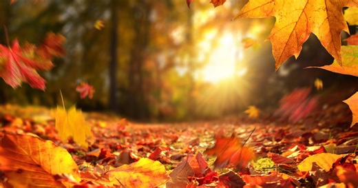 Meteorological fall is set to begin on September 1st. What's that mean?