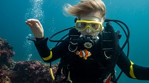 Watch what happens when a small fish attacks a diver