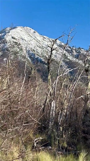 🏔️ Ruta Camino Playa Blanca | Volcán Tolhuaca | Naturaleza en su máxima expresión 🌲❄️