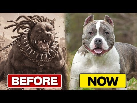 These Ancient Dogs Make Pitbulls Look Like Puppies