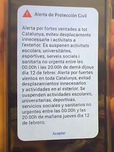 Los mensajes Es-Alert: ¿Alarma o herramienta vital?