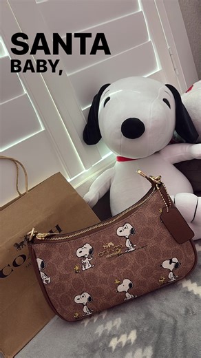 #Snoopy #peanuts #fyp #ilovesnoopy #santababy | snoopy