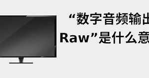数字输出格式是什么意思...