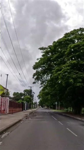 Nadi, Fiji never runs out of things to show you 🌺🇫🇯 #shorts