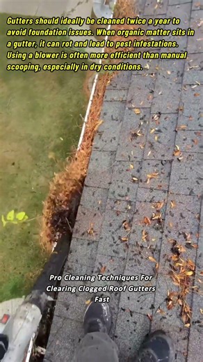 Pro Cleaning Techniques For Clearing Clogged Roof Gutters Fast