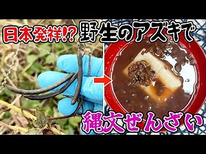 野生のアズキでぜんざいを作ると最高