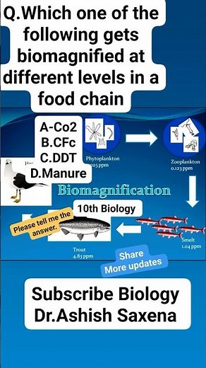 Biomagnification / 10th Biology