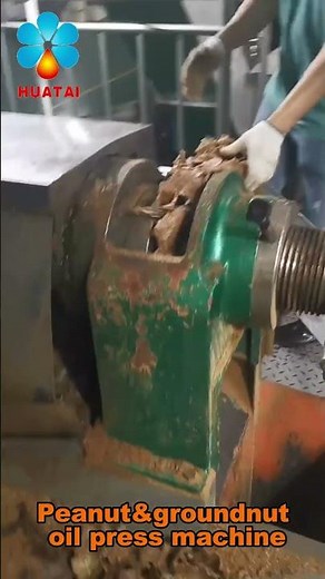 Complete Set Small scale Peanut oil screw pressing machine | Cold Press Oil Machine for Peanut