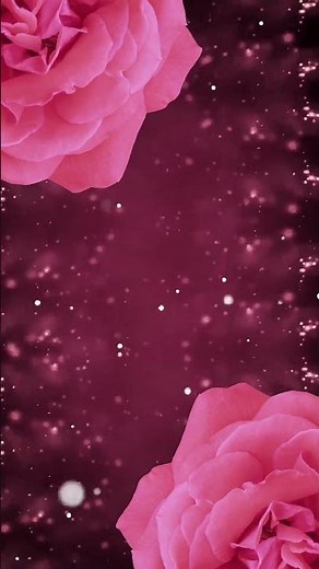 Fondo de vídeo movimiento - flores rosas y brillo (free video background) #fondosanimados