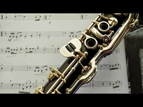 The Allman Brothers Band - Jessica (instrumental backing track)