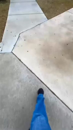 2.1K views · 47 reactions | ASU Day in the Life: London Tyler is a senior business management major with a concentration in healthcare administration at #AlbanyState.  | Albany State University | Facebook