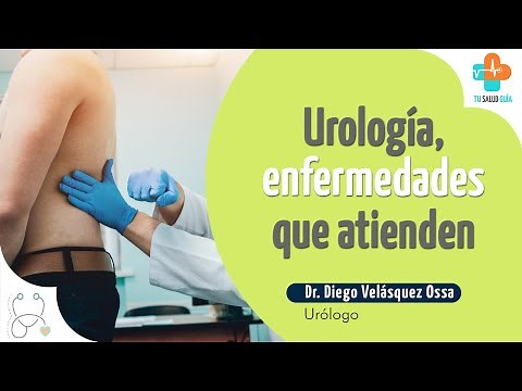 Urology, diseases it treats | Your Health Guide