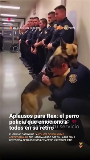 After eight years of service with the Airport Security Police, canine officer Rex…
