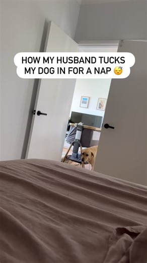 Oreo the Dog | Labrador life 🇦🇺🦮 on Instagram: "Them: ‘Sleep when the baby sleeps’ Oreo: Say less 🫡 We thought Oreo was tired before… she’s a whole new level of tired with a new sister disturbing her sleep 😅 #doglife #dogreels #labradorsleeping"