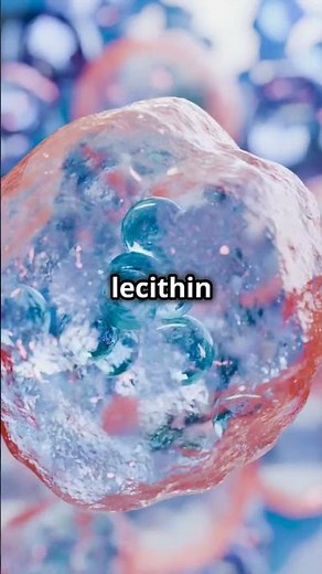 Lecithin! The Body’s Secret Ingredient! #shorts