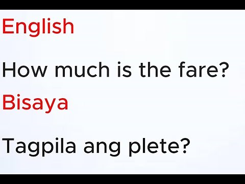 Easy English Bisaya Translation
