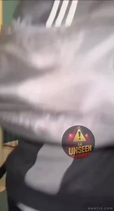 Monkeys escape from the Zoo