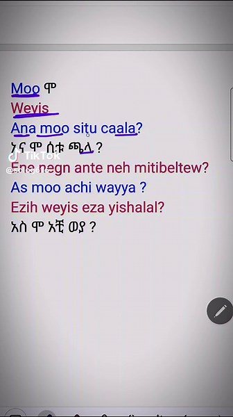 Language Learning Insights in Amharic and Oromo