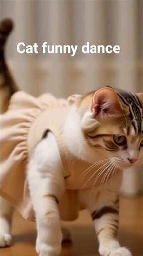 kittens funny dance बिल्ली का डांस #cat#cartoon #funny #funnycat #youtubeshorts #catvideos #ai