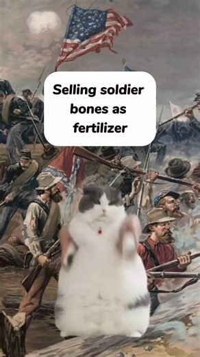 139K views · 1.7K reactions | Weird Facts about History Simplified by cats #fyp #cats #viral2024 #weirdhistory #simplistatedhistory | Simply Stated History | Facebook