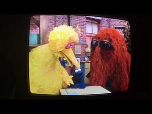 Sesame Street Big Bird Snuffy Visits Cookie Monster Cookies Shapes Game 1999