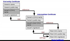 Root certificate - Alchetron, The Free Social Encyclopedia