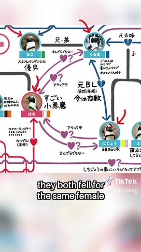 penguin relationships are insane 😭 | penguins