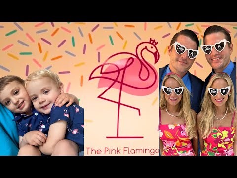 Flamingo New Year - Our Twinsane Life, Episode 2