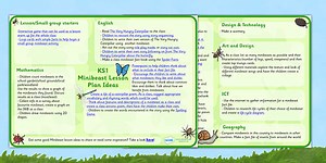 KS1 Minibeast Lesson Plan Ideas