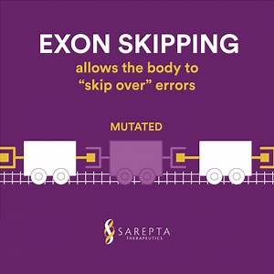 156 reactions · 29 shares | Duchenne damages and weakens muscle cells over time. Exon-skipping therapies help the body build dystrophin—a protein muscles need to work properly. Learn more: https://bit.ly/3yV0bSJ | Sarepta Therapeutics | Facebook