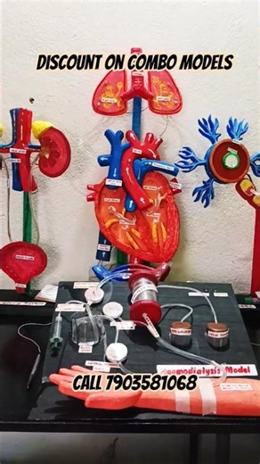 Biology Working Model School model and project