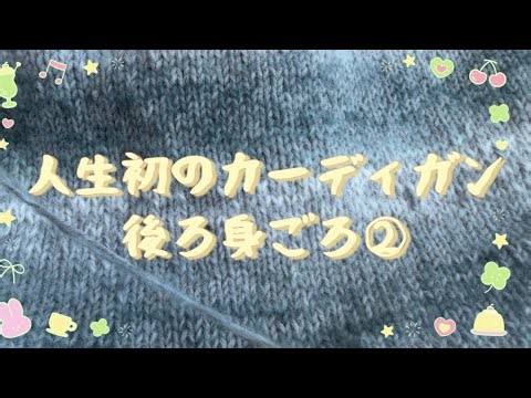 #65/カーディガンチャレンジ(2)(Cardigan Challenge)