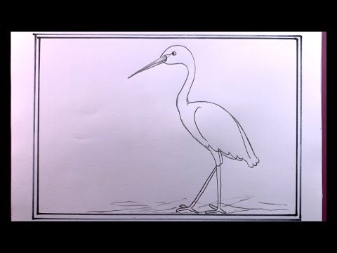 How To Draw A Heron Step By Step Easy