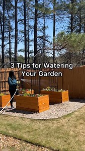 When I first started gardening, I was spraying the water everywhere - on top of the plants, the leaves, the vegetables themselves, all over. But now, I have changed my watering techniques and utilize the methods in the video. 💦💦💦 How do you water your garden? Tell me below! Watering Techniques, Watering your Garden, Garden Tips, Garden Hacks, Irrigation #gardenblogger #gardening #blackgirlsgardening #gardenwatering #gardenhowtos #wateringschedule #gardenirrigation #gardenhelper #raisedgardenb