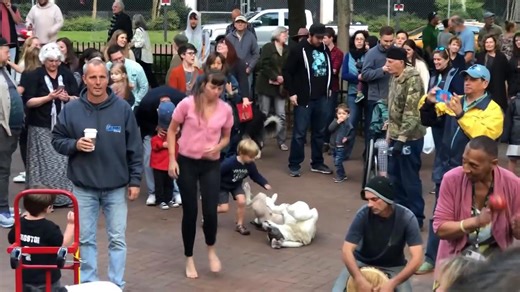 Dog living his best life at the Asheville Drum Circle