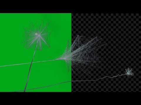 Spider Man Effect | Spider Man Free VFX