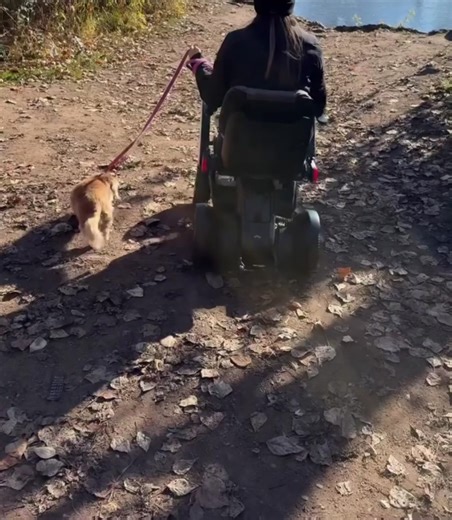 Find peace with WHILL. 🌿 The Model C2 features omni-directional wheels for a smooth, balanced ride—even over uneven terrain. Start your mornings with a beautiful stroll and enjoy the simple moments in nature. Click the link to shop WHILL products directly on our site and search our trusted retail partners: https://bit.ly/4paqMUX Until Valentine's Day, Model C2 buyers receive a free spare battery ($599.99 value). Model F and R buyers receive $250 in free accessories—on us. #WHILL #mobility #free