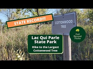 Hike to the MN State Record Cottonwood Tree I Lac Qui Parle I Minnesota State Park