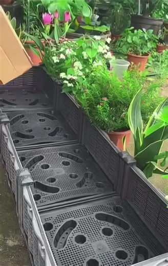 ขุยมะพร้าวอัดก้อนสำหรับปลูกผักและต้นไม้