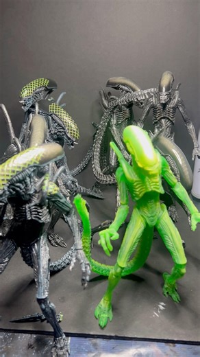 ALL #avp warrior variants #alien#xenomorph #figurecollection #figure #neca