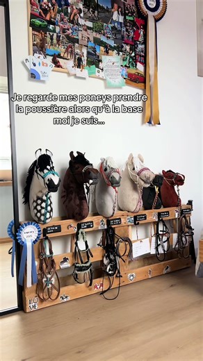 L'hiver et mes poneys : un hobby à découvrir