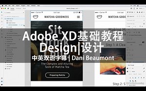 020-Lynda教程：Adobe XD基础教程 - 设计Adobe XD Essential Training - Design中英双语字幕