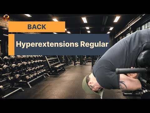 🔥 Back | Hyperextensions Regular